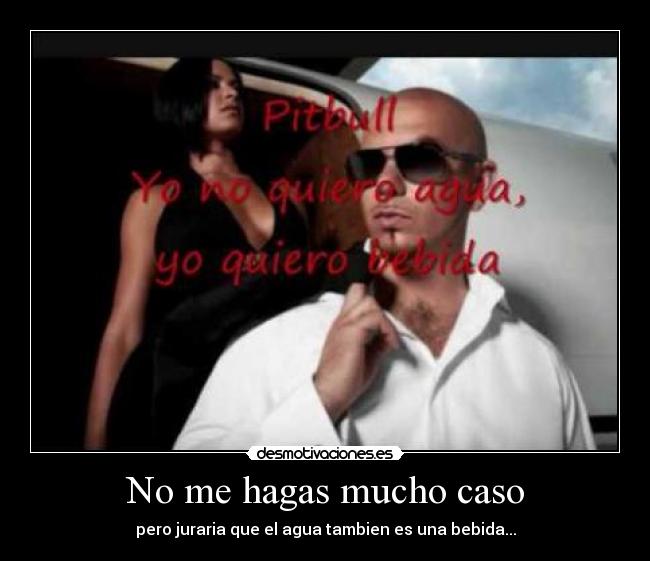 carteles pitbull desmotivaciones