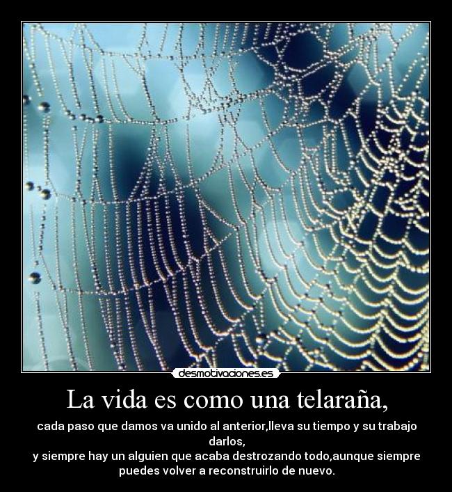La vida es como una telaraña, - cada paso que damos va unido al anterior,lleva su tiempo y su trabajo
darlos,
y siempre hay un alguien que acaba destrozando todo,aunque siempre
puedes volver a reconstruirlo de nuevo.