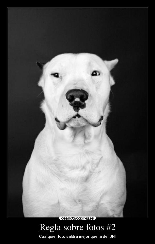 Regla sobre fotos #2 - Cualquier foto saldrá mejor que la del DNI.