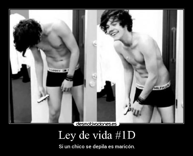 Ley de vida #1D - 