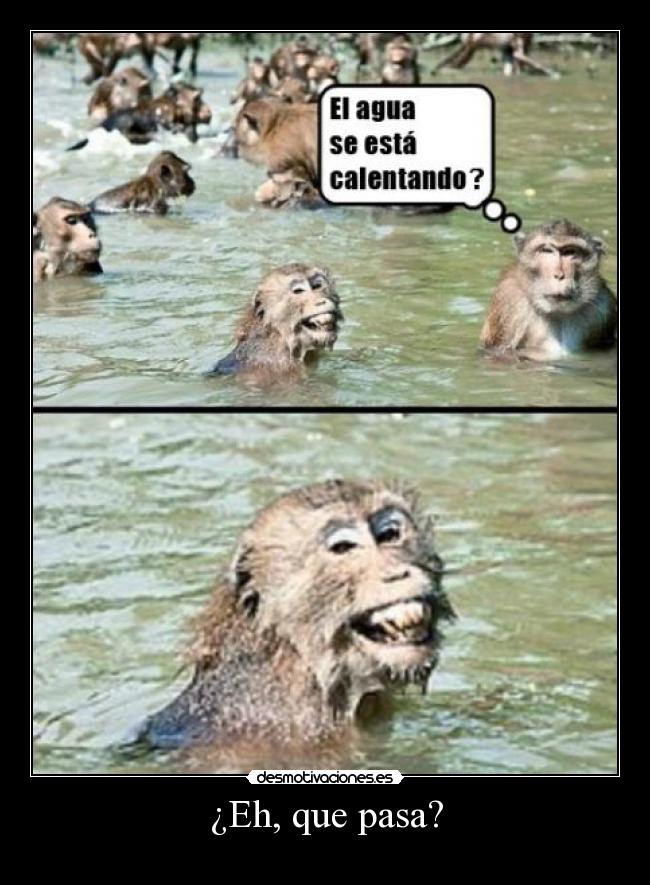 ¿Eh, que pasa? -