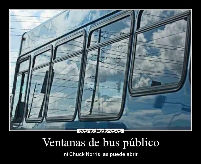 Ventanas de bus público - 