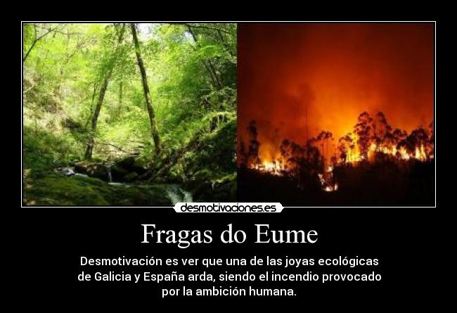 Fragas do Eume - Desmotivación es ver que una de las joyas ecológicas
de Galicia y España arda, siendo el incendio provocado
por la ambición humana.