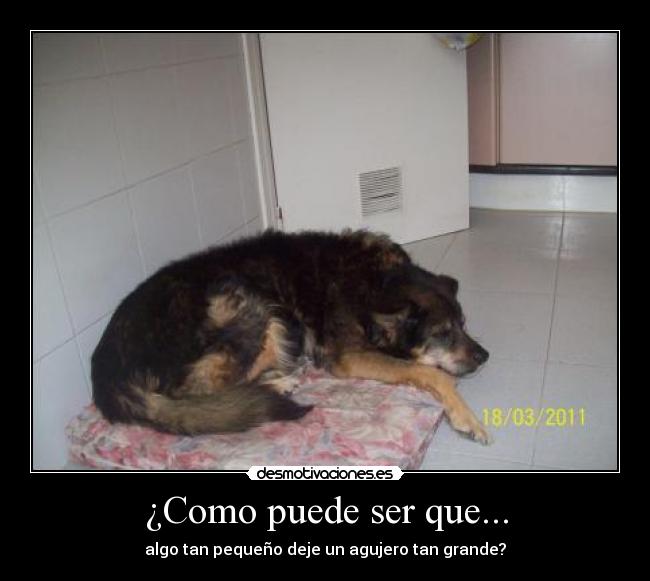 ¿Como puede ser que... - algo tan pequeño deje un agujero tan grande?