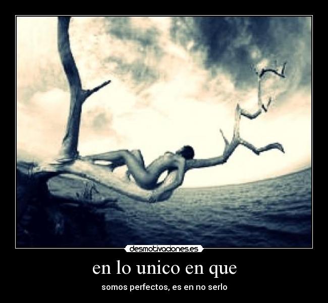 en lo unico en que - somos perfectos, es en no serlo