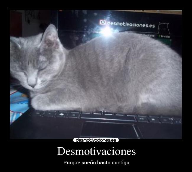 Desmotivaciones - Porque sueño hasta contigo