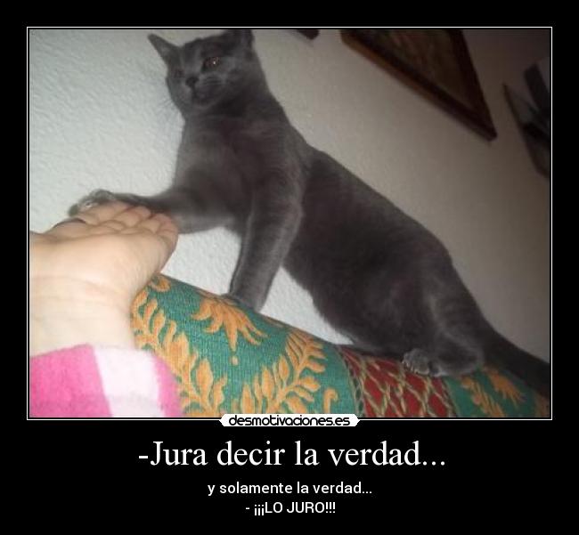 -Jura decir la verdad... - y solamente la verdad...
- ¡¡¡LO JURO!!!