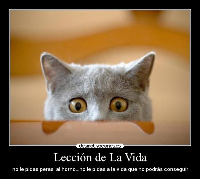 carteles vida por desmotivaciones