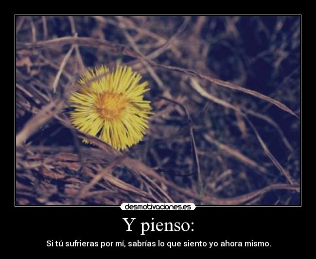 Y pienso: - Si tú sufrieras por mí, sabrías lo que siento yo ahora mismo.