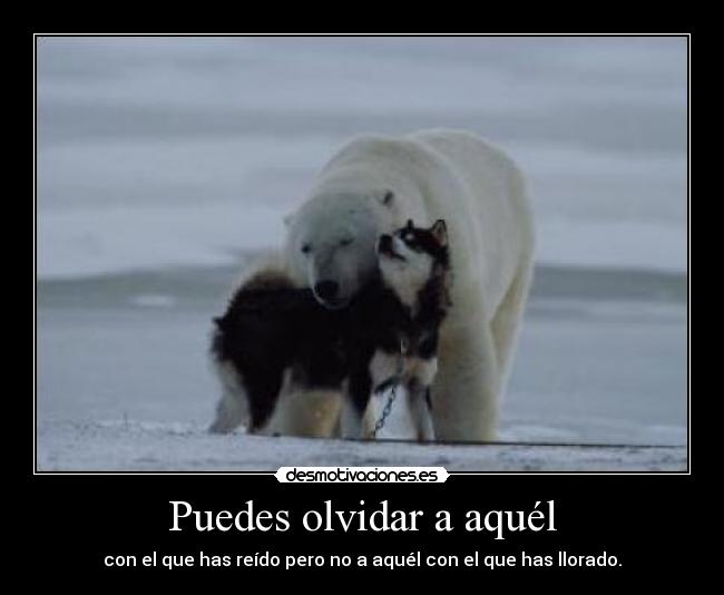 Puedes olvidar a aquél - con el que has reído pero no a aquél con el que has llorado.