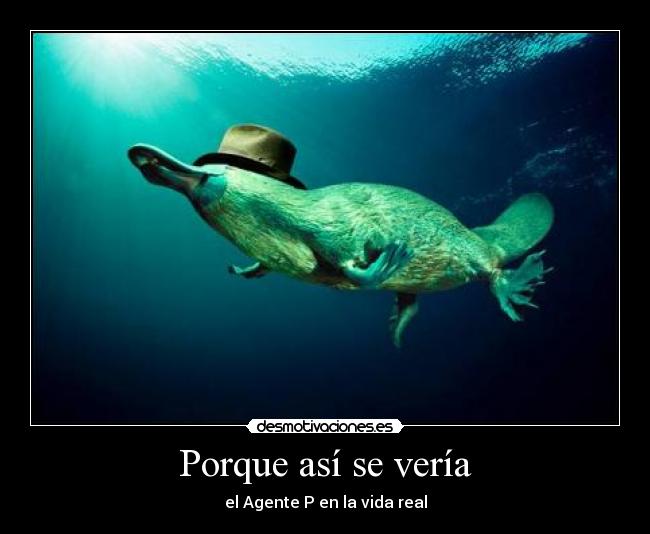 Porque así se vería -