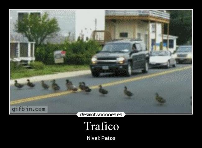 Trafico -