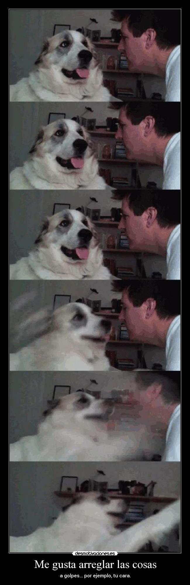 Me gusta arreglar las cosas - 