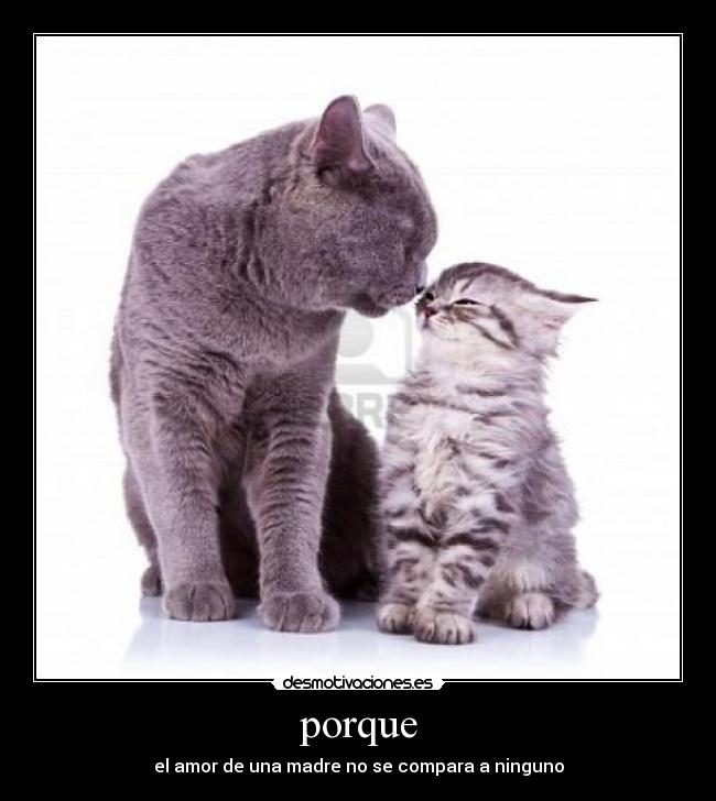 porque - el amor de una madre no se compara a ninguno