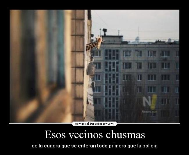 Esos vecinos chusmas -