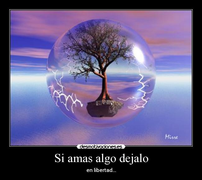 Si amas algo dejalo -