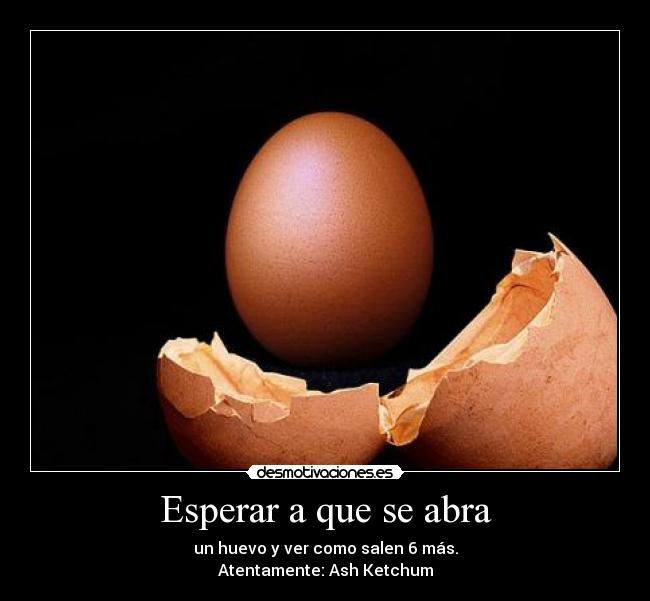 Esperar a que se abra - un huevo y ver como salen 6 más.
Atentamente: Ash Ketchum