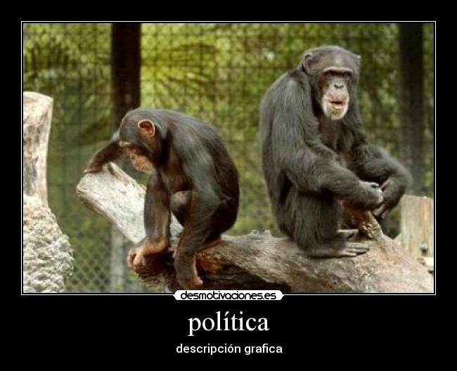 política - descripción grafica