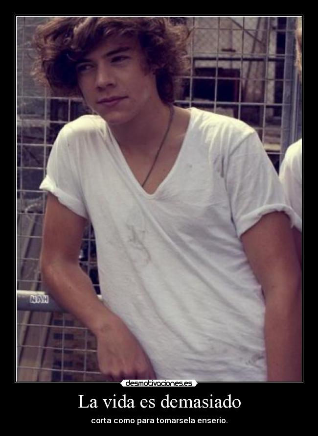 La vida es demasiado -