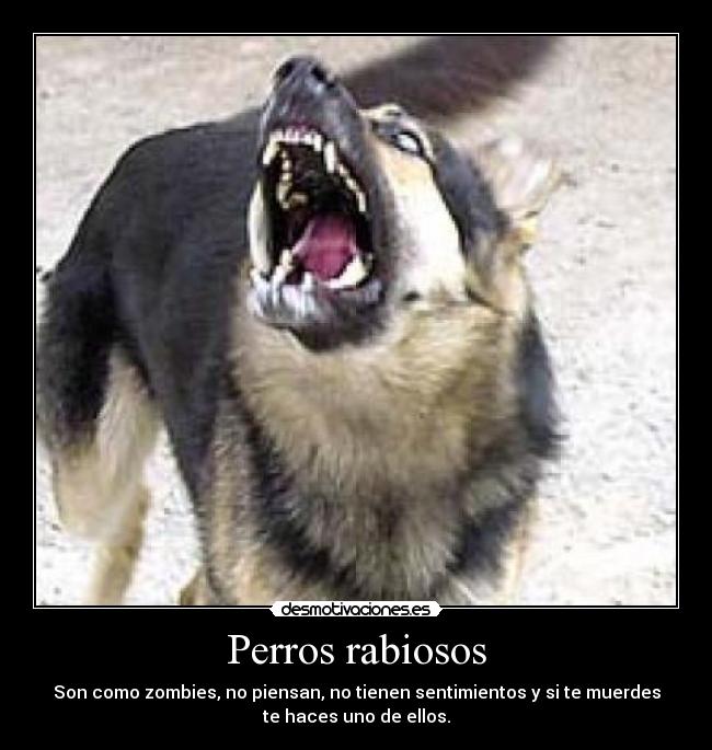 carteles perros rabiosos son como zombies piensan tienen sentimientos muerden haces uno ello desmotivaciones