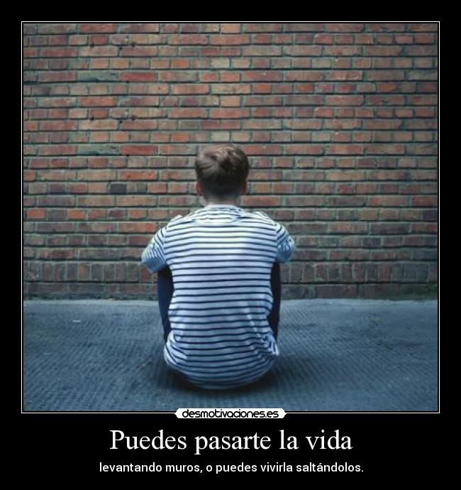 carteles vida anatomia grey desmotivaciones