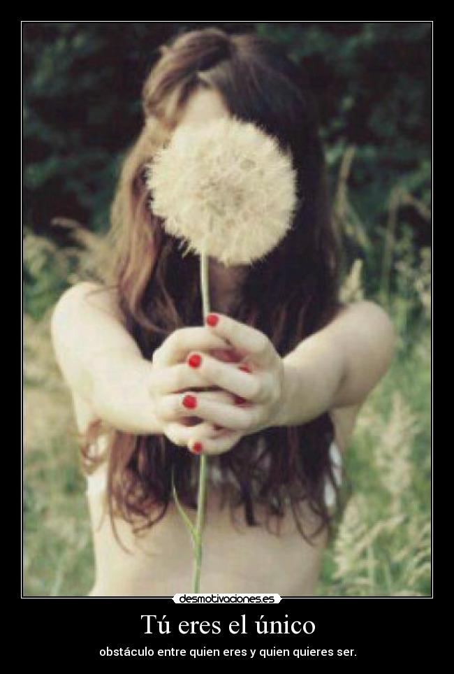 carteles obstaculo desmotivaciones