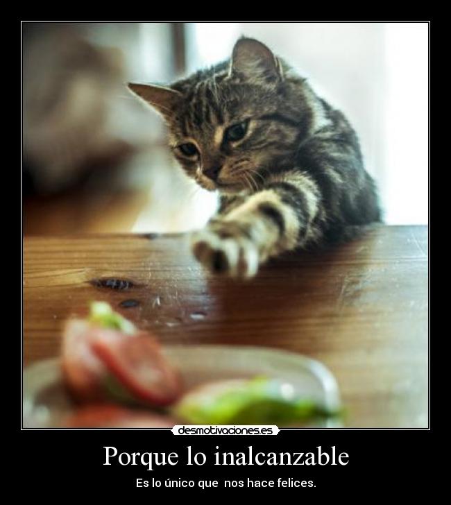 Porque lo inalcanzable -