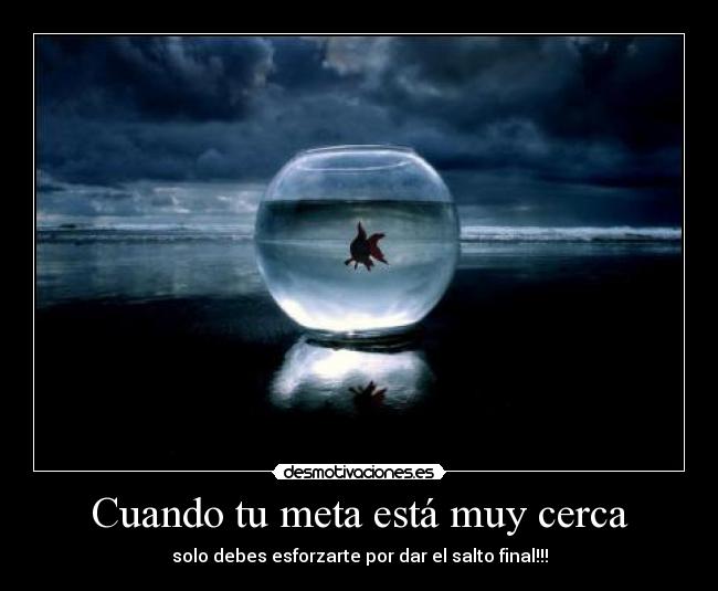 Cuando tu meta está muy cerca - solo debes esforzarte por dar el salto final!!!
