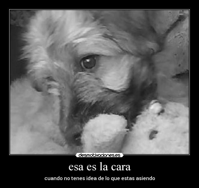 carteles lucas marquez desmotivaciones