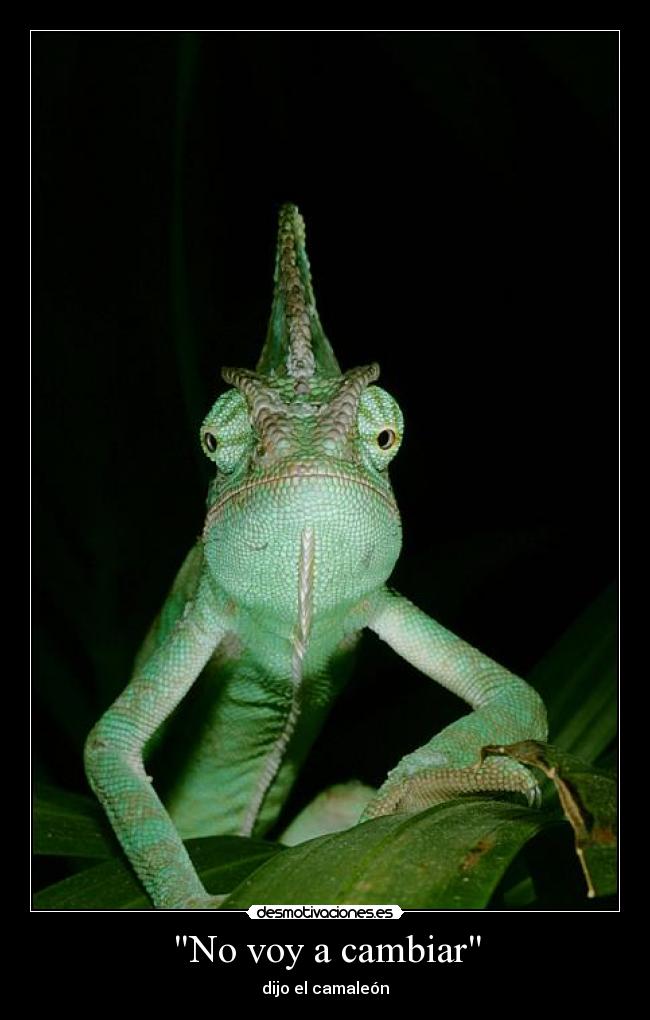 No voy a cambiar - dijo el camaleón