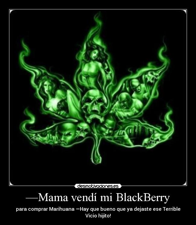 —Mama vendí mi BlackBerry - para comprar Marihuana —Hay que bueno que ya dejaste ese Terrible Vicio hijito!