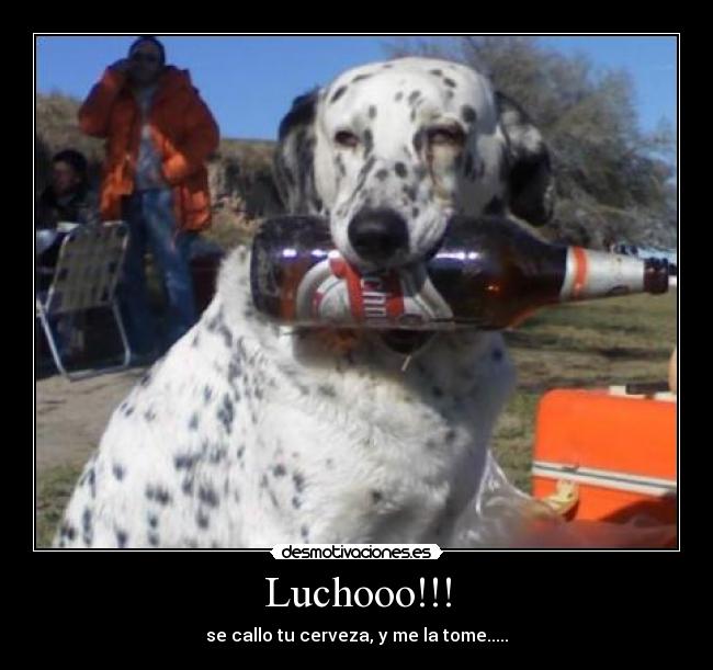 Luchooo!!! - 