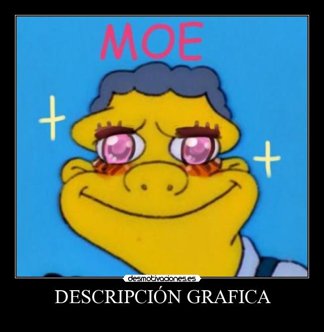 DESCRIPCIÓN GRAFICA -