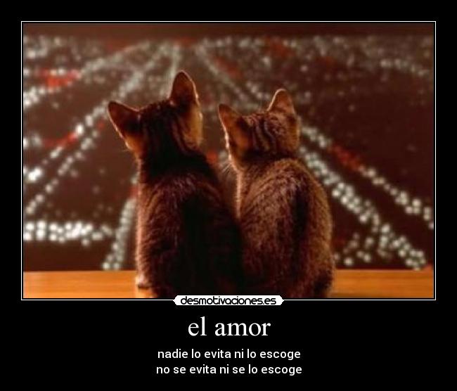 el amor - 