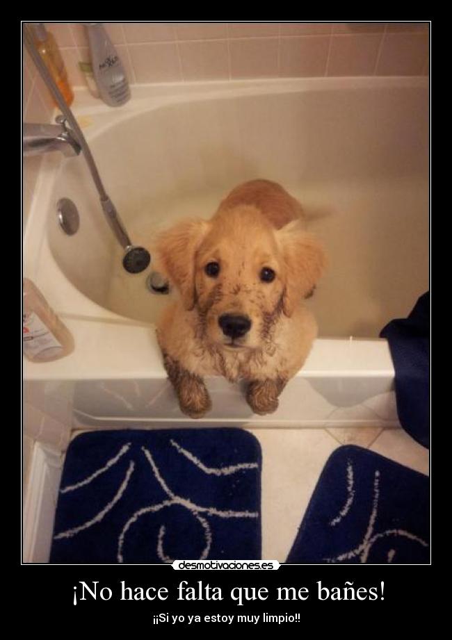 ¡No hace falta que me bañes! -