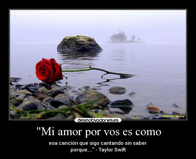 carteles amor amor taylor swift dolor pena desmotivaciones