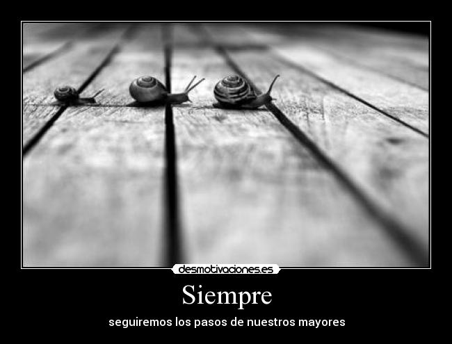 carteles tbp desmotivaciones