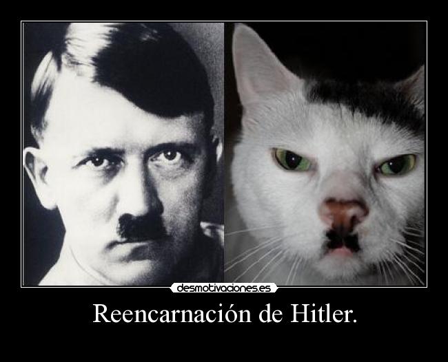 Reencarnación de Hitler. -
