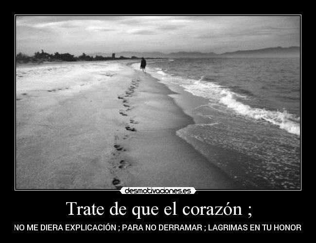Trate de que el corazón ; - NO ME DIERA EXPLICACIÓN ; PARA NO DERRAMAR ; LAGRIMAS EN TU HONOR ♪