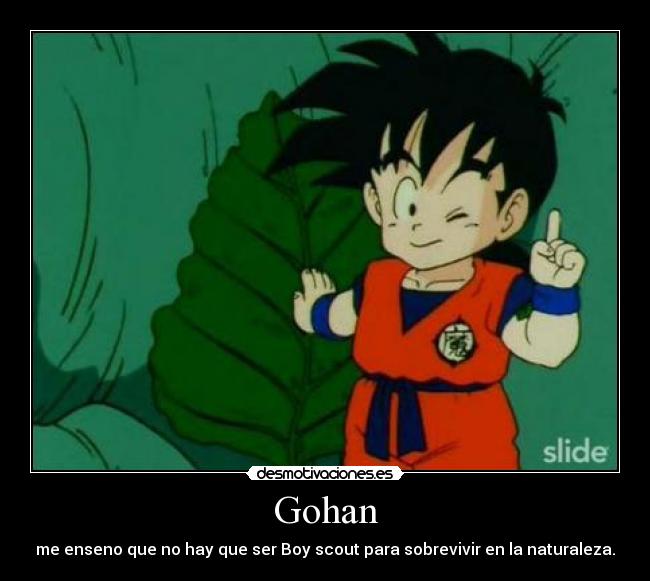 Gohan -