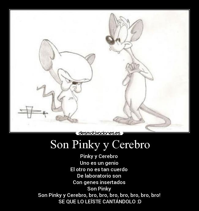 Son Pinky y Cerebro - Pinky y Cerebro 
Uno es un genio 
El otro no es tan cuerdo 
De laboratorio son 
Con genes insertados 
Son Pinky 
Son Pinky y Cerebro, bro, bro, bro, bro, bro, bro, bro! 
SE QUE LO LEÍSTE CANTÁNDOLO :D