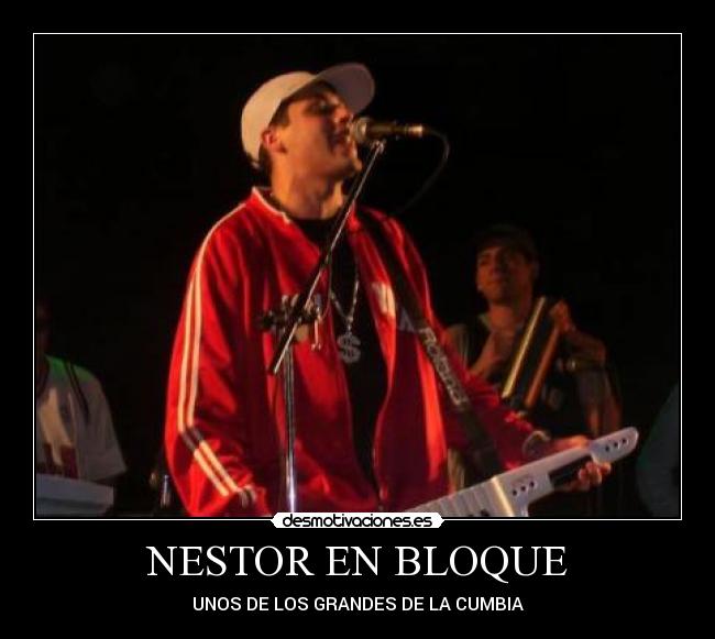 carteles nestor bloque desmotivaciones