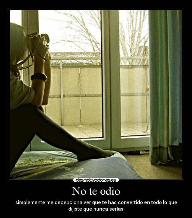 No te odio - simplemente me decepciona ver que te has convertido en todo lo que
dijiste que nunca serías.