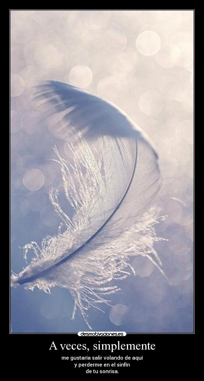 carteles perderme sonrisa pluma volar freedom soul desmotivaciones