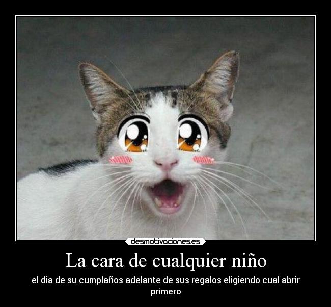 La cara de cualquier niño - el dia de su cumplaños adelante de sus regalos eligiendo cual abrir primero