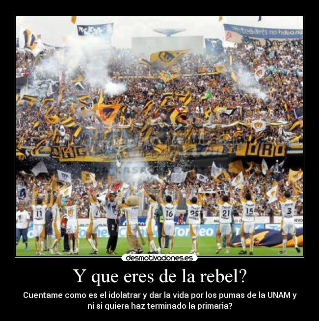 carteles pumas desmotivaciones