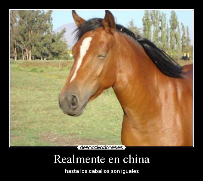 carteles hyunday007 desmotivaciones