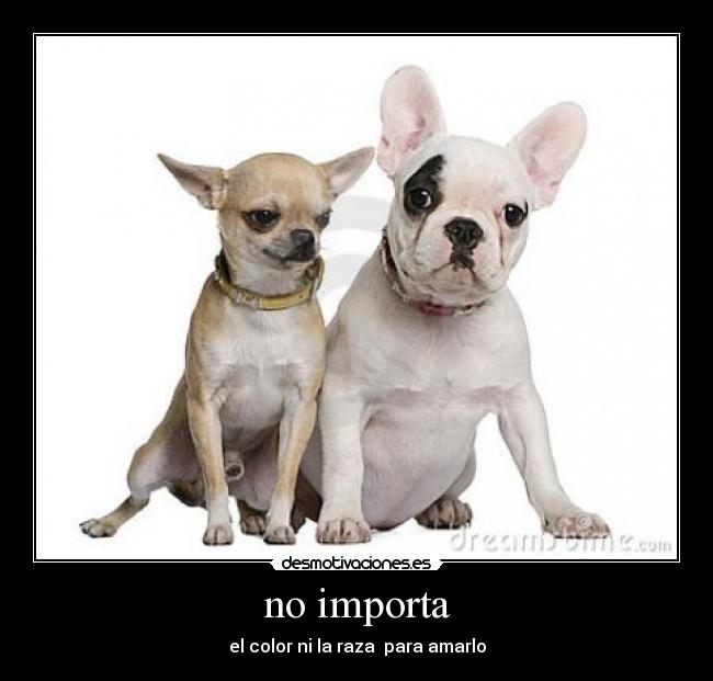 no importa - el color ni la raza para amarlo