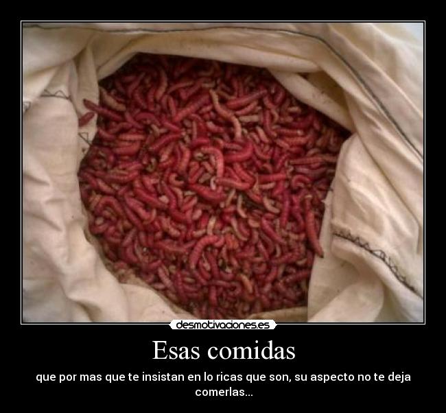 Esas comidas - que por mas que te insistan en lo ricas que son, su aspecto no te deja comerlas...