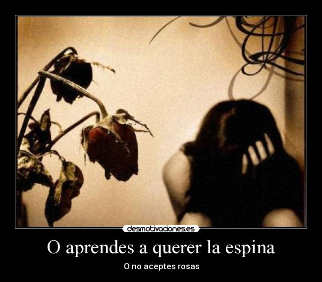 carteles cinthiaacz desmotivaciones